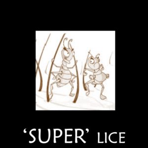 head lice chemicals not working